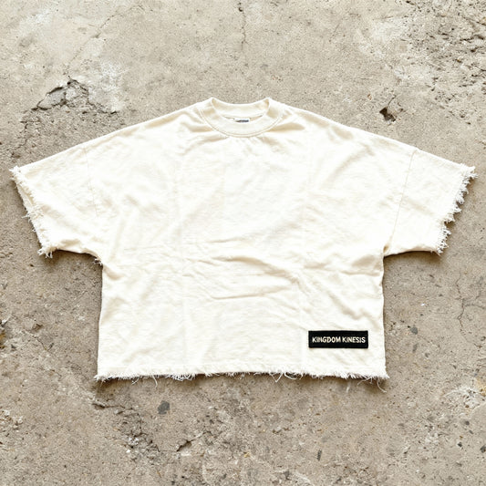 Who Do You Follow - Sand Boxy Cropped Tee